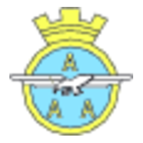 Associazione Arma Aeuronautica Logo