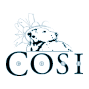 Cosi-CosiCosi-Cosi logo vector