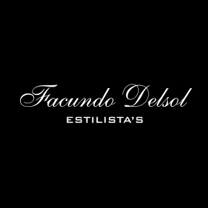 Facundo Delsol Estilista’s Logo