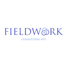 Fieldwork Consulting Kft Logo