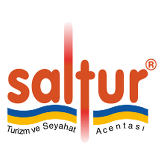 Saltur Logo