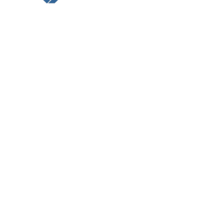 service asesores Logo