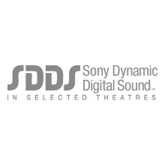 Sony DDS Logo