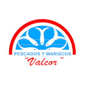 Valcor logo vector